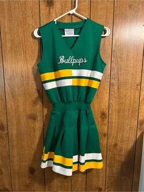 Green & Yellow Womans Cheer Dress with 'Bullpups' Script Costume
